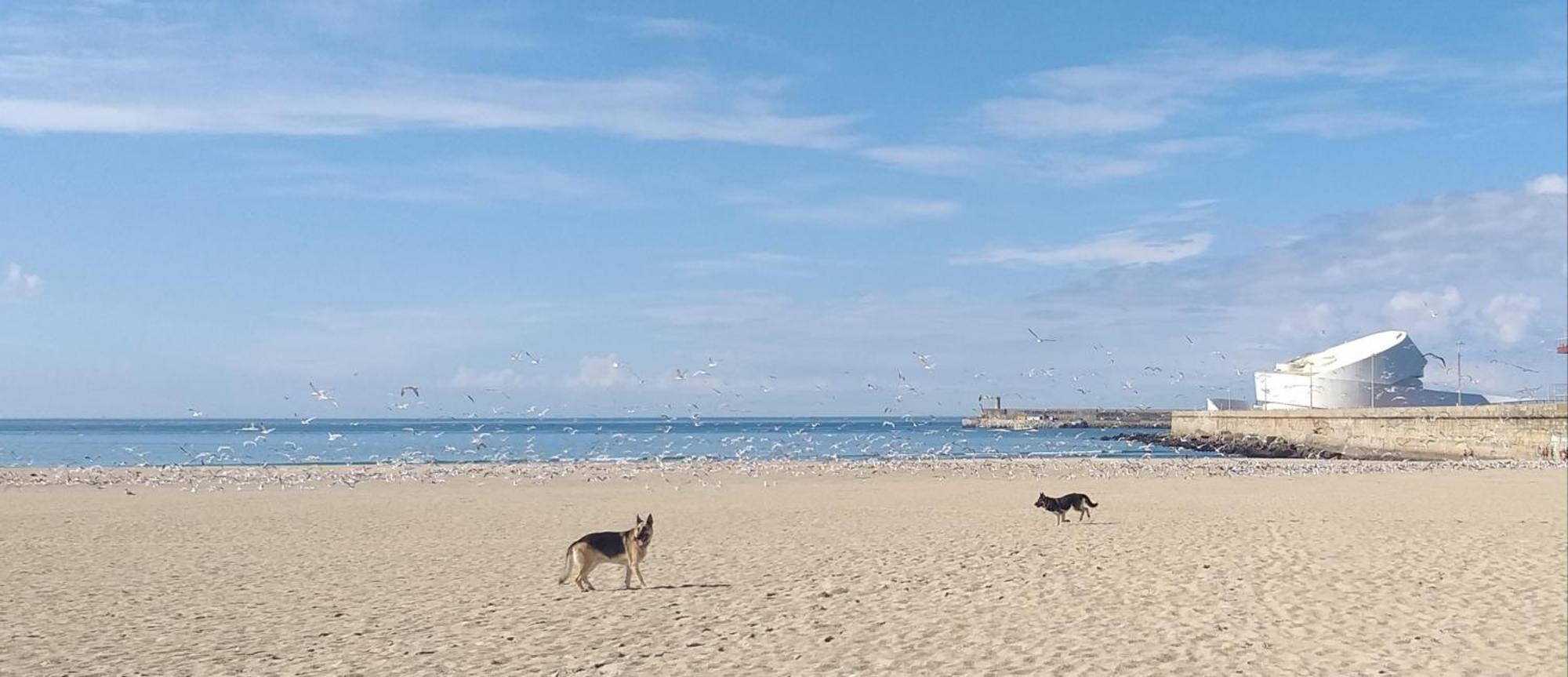 דירות מטוסיניוס Maria Do Mar_As Tres Marias מראה חיצוני תמונה